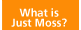 What Is Just Moss?
